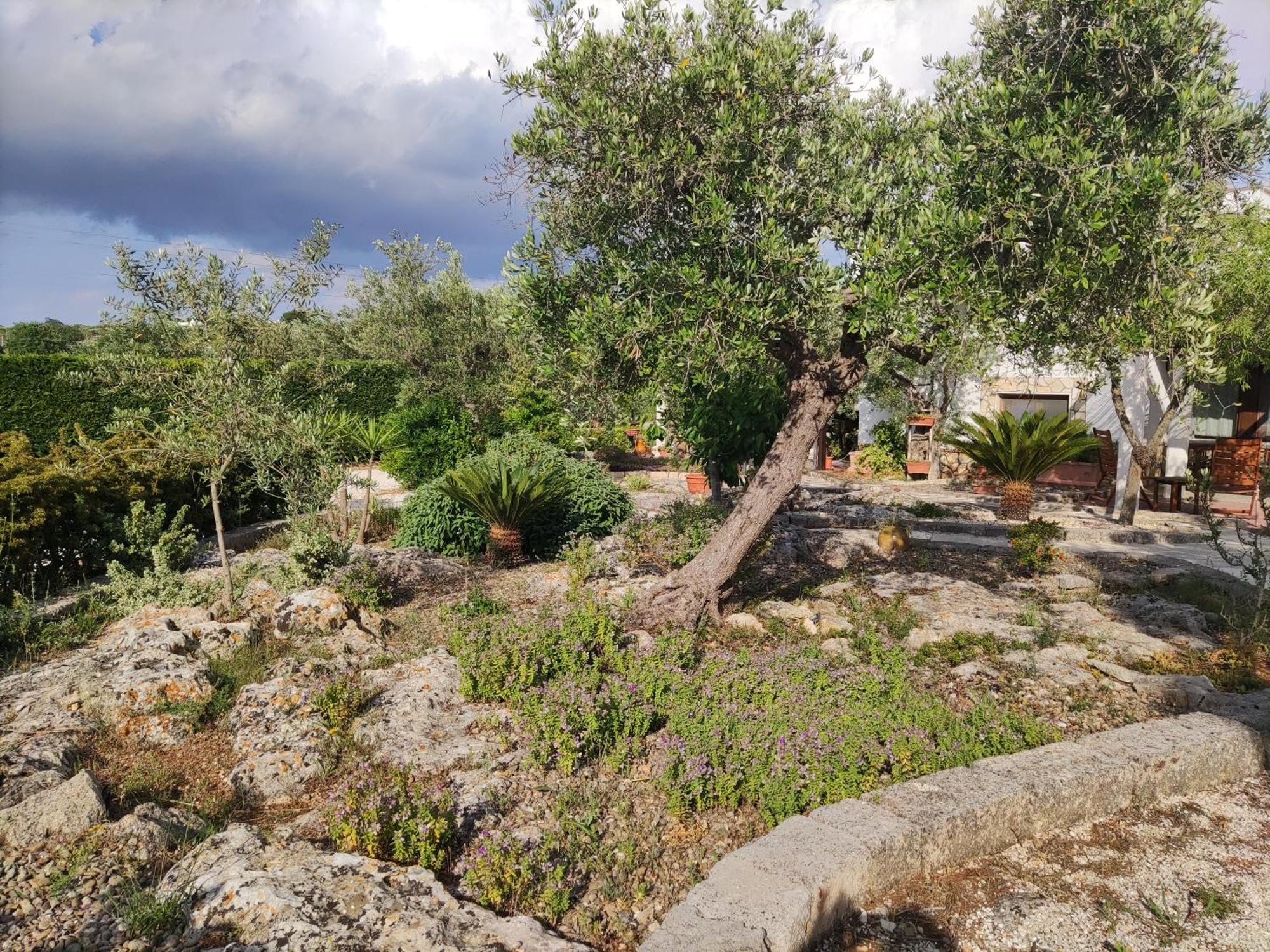 Villa Giulia B&B Castellana Grotte Exterior foto